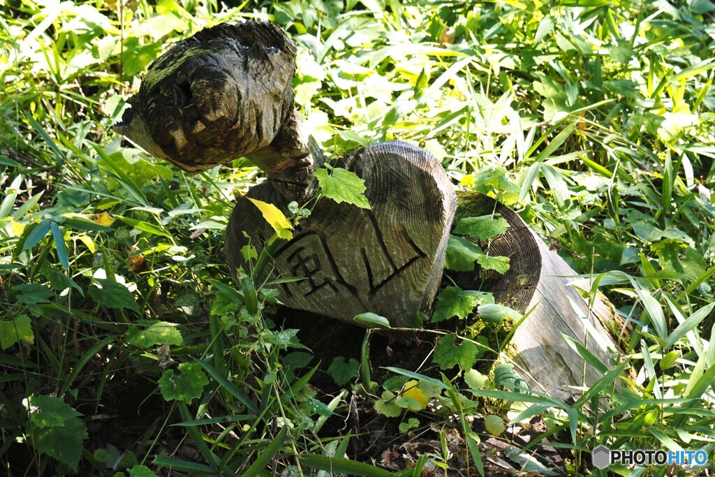 蝶の里公園～xix