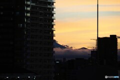 富士の裾野