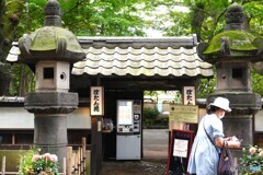 ダリア綾なす秋の園～ⅰ