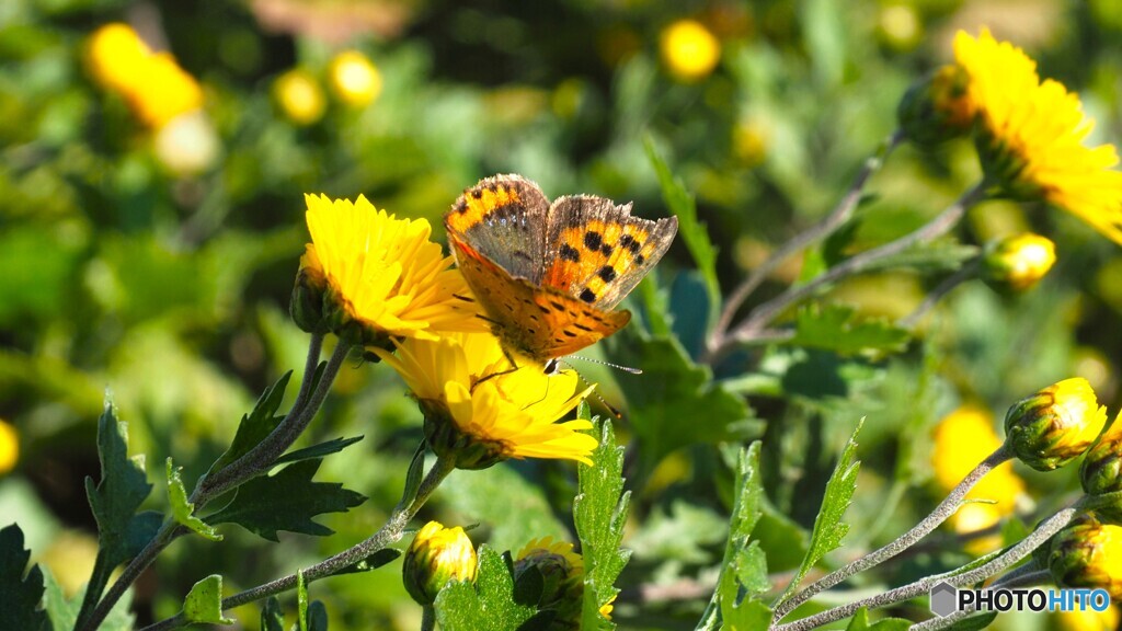 もう冬だよ、、、