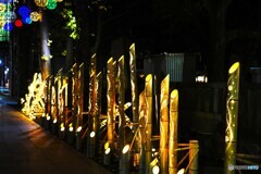 牛島神社「竹あかり」～ⅰ