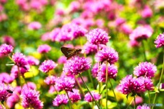 アンデルセン公園～ⅳ