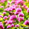 アンデルセン公園～ⅳ