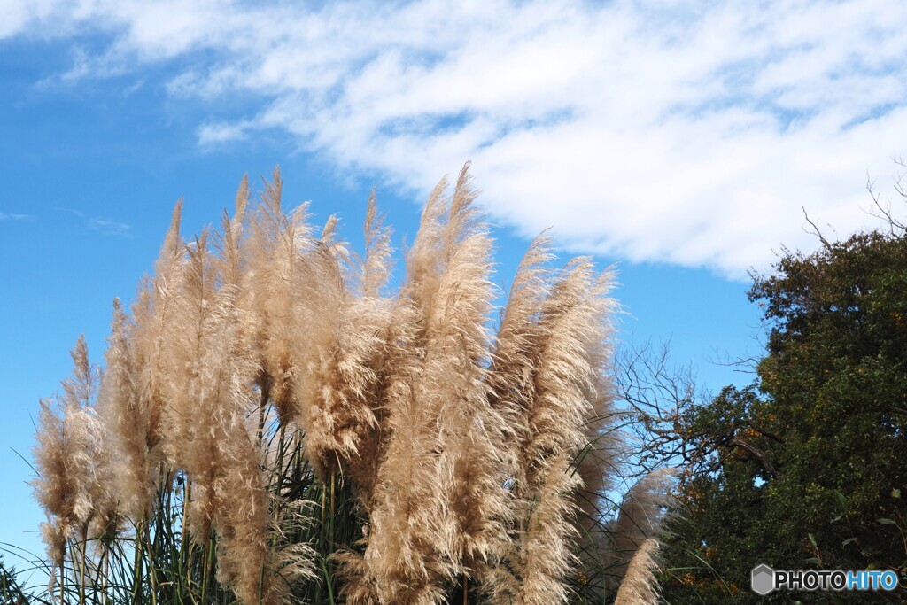 アンデルセン公園～xxiii