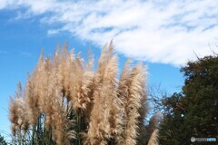 アンデルセン公園～xxiii