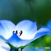 ぞっこん～ⅲ