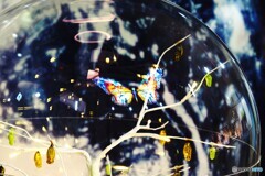 冬の生物園２０２５～ⅰ