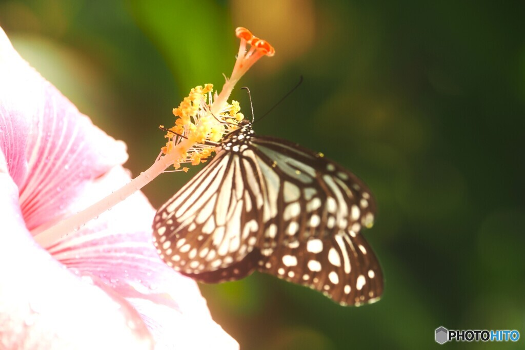 冬の生物園２０２５～ⅱ