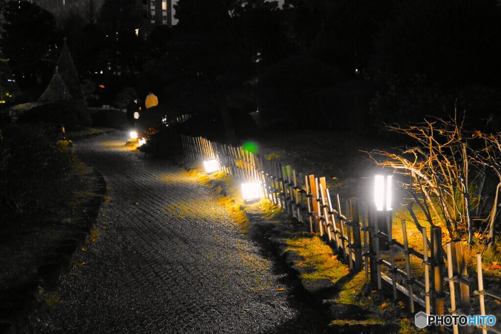 SUMIDA光のナイトガーデン2025～ⅰ