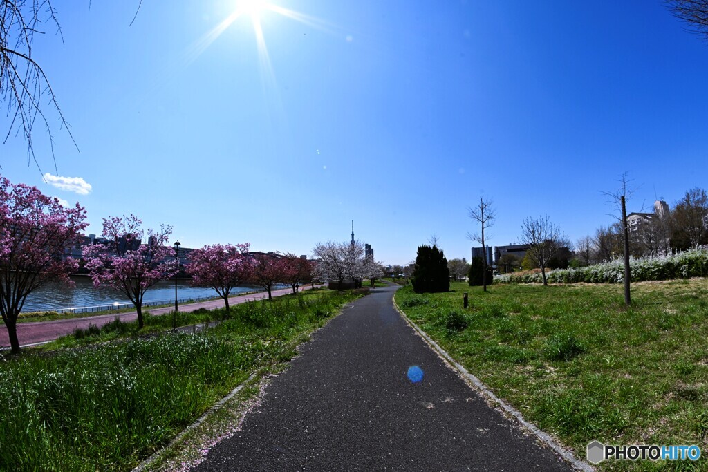 汐入公園遊歩道
