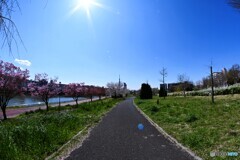 汐入公園遊歩道