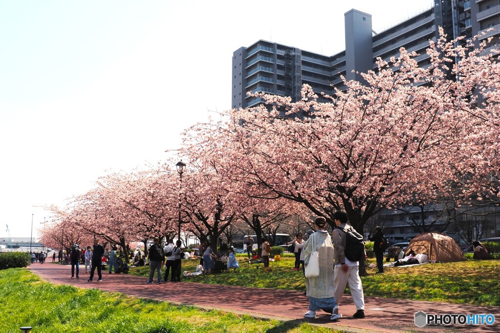 土曜の賑わい