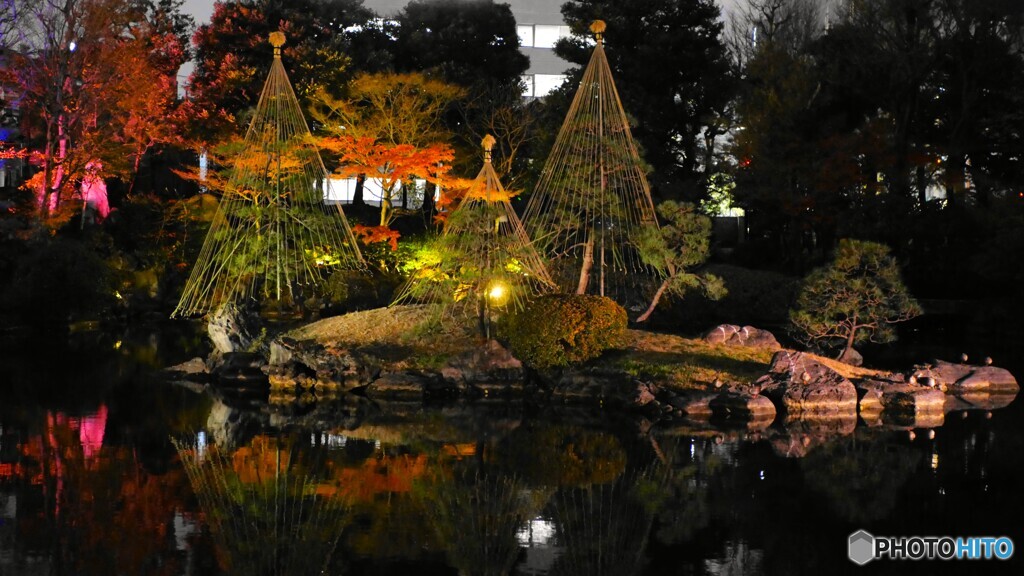 SUMIDA光のナイトガーデン2025～ⅳ