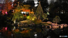 SUMIDA光のナイトガーデン2025～ⅳ