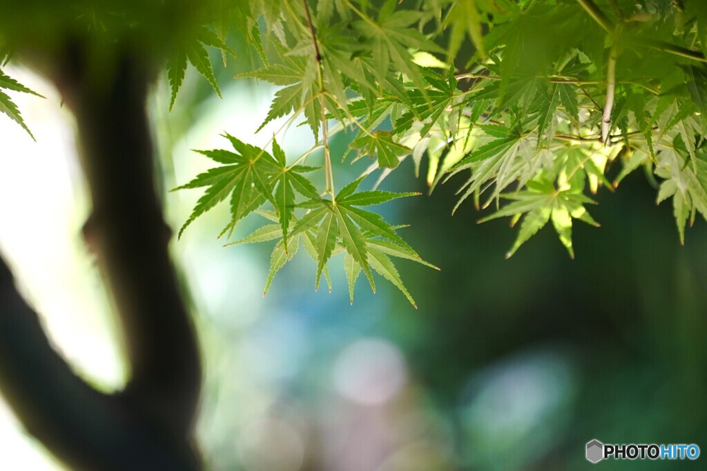 秋への入り口