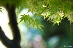 秋への入り口