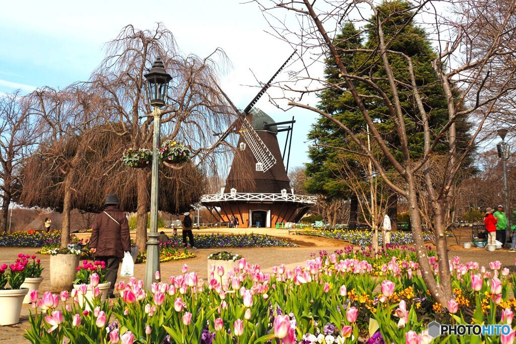 冬のアンデルセン公園～ⅳ