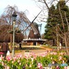 冬のアンデルセン公園～ⅳ