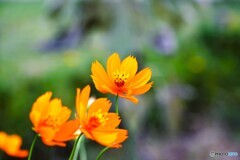 夏終わるのかな～③