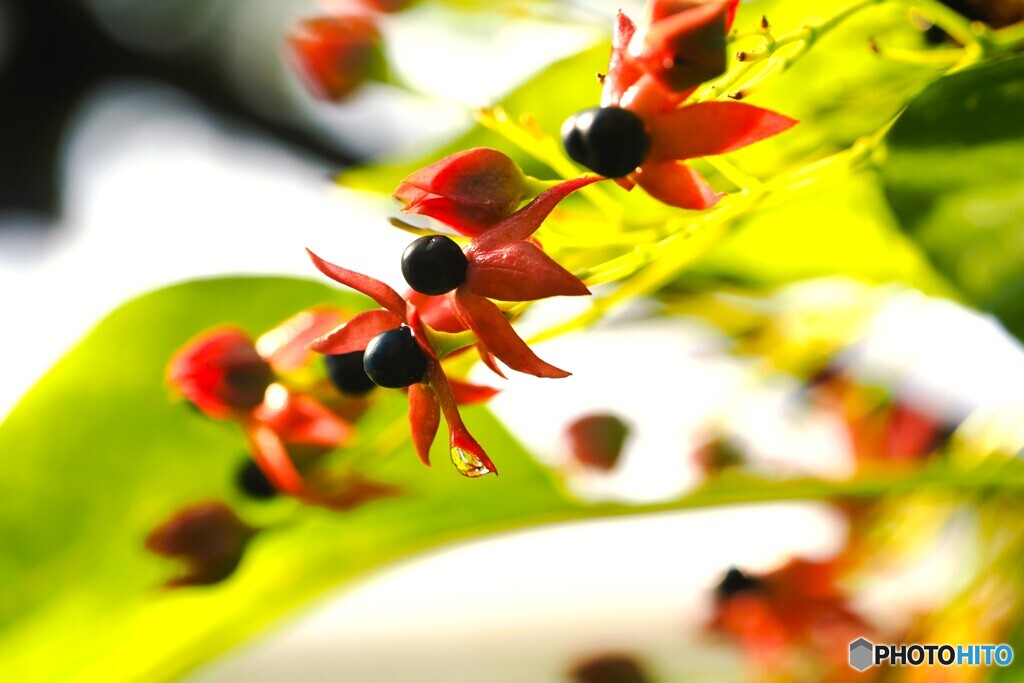 冬の生物園２０２５～ⅹ