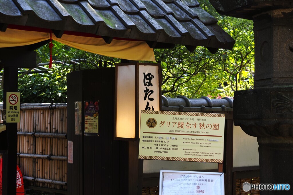 先日、上野で見たもの～ⅲ