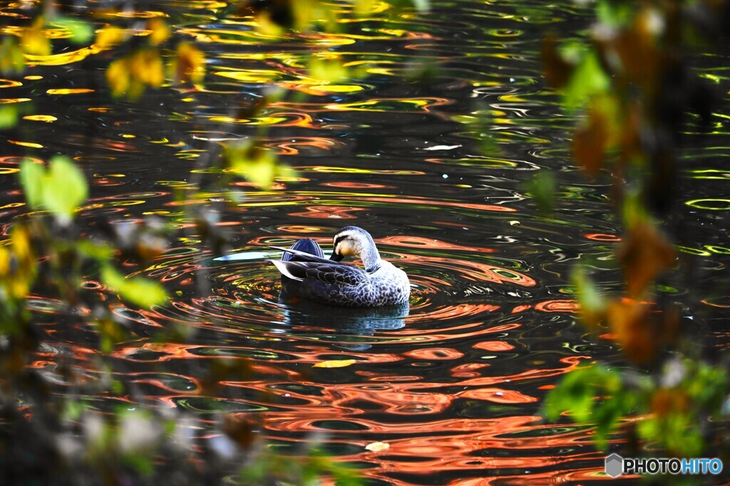 東京国立博物館～ⅴ