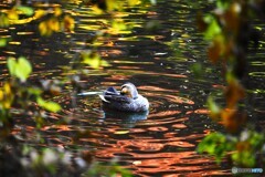 東京国立博物館～ⅴ