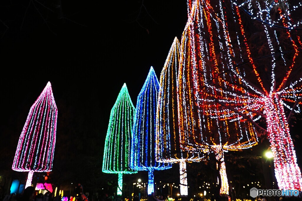 足立区（光の祭典）～②