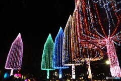 足立区（光の祭典）～②