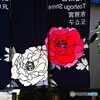上野東照宮牡丹園～xx