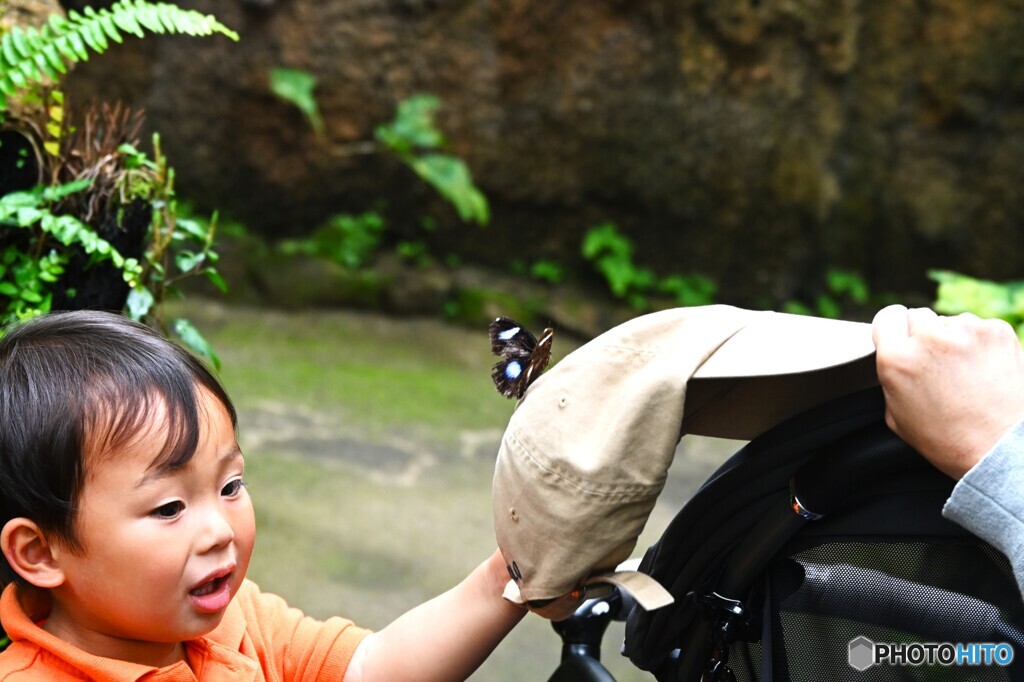 春の生物園～ⅺ