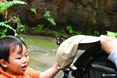 春の生物園～ⅺ