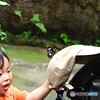 春の生物園～ⅺ