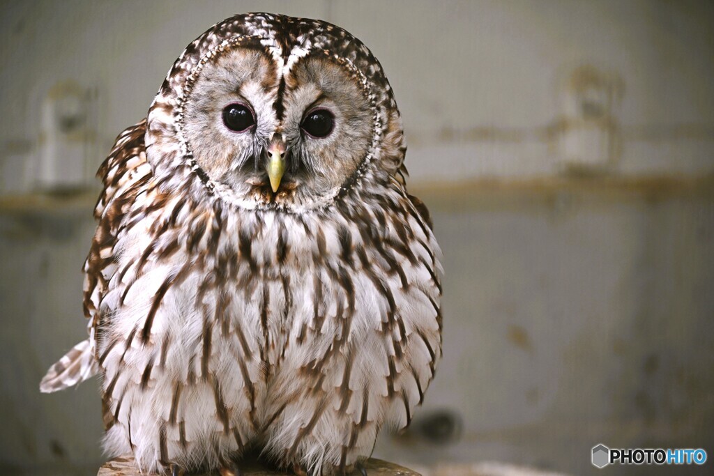 春の生物園～ⅳ