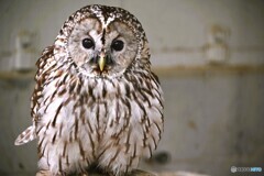 春の生物園～ⅳ