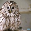 春の生物園～ⅳ