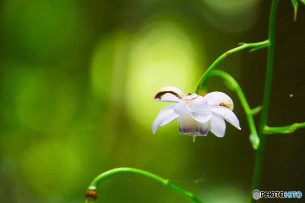 赤城自然園～⑮