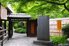 向島百花園～ⅰ