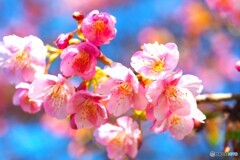 昨年の２月10日～ⅰ