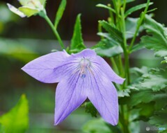昨年の8月末