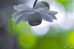 赤城自然園～⑭