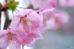 汐入陽光～ⅳ