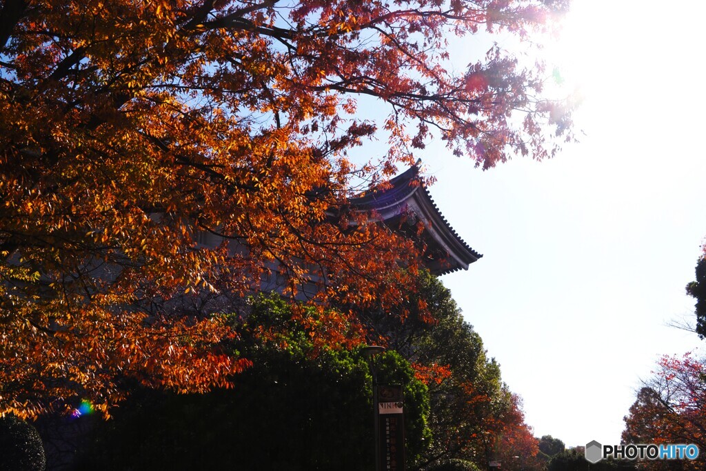 東京国立博物館～ⅲ