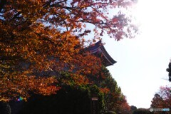 東京国立博物館～ⅲ
