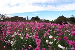 アンデルセン公園～ⅲ