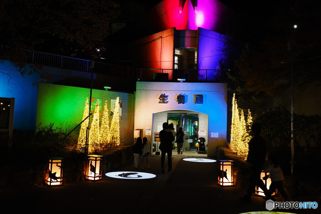 足立区（光の祭典）～⑥