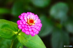 絆