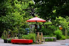 向島百花園～ⅺ