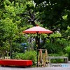 向島百花園～ⅺ