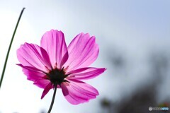 アンデルセン公園～ⅶ